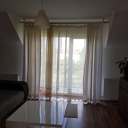 Cluj Lux Apartments Εξωτερικό φωτογραφία